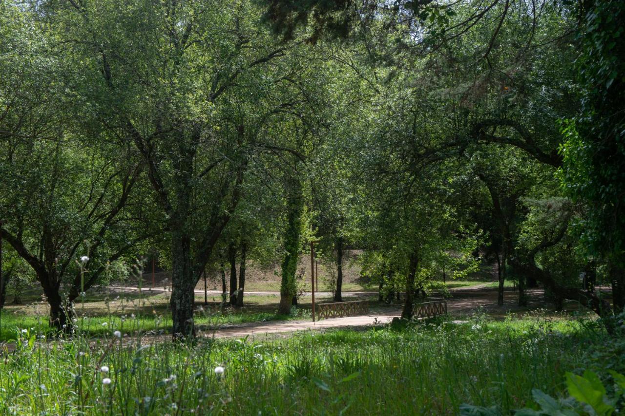 منزل الضيف سانتا ماريا دا فييرا  في Casa Do Carvalhal - Natureza No Centro Da Cidade المظهر الخارجي الصورة